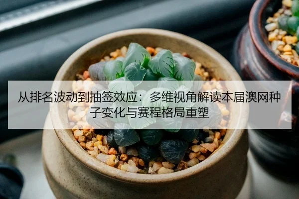 cong-pai-ming-bo-dong-dao-chou-qian-xiao-ying-duo-wei-shi-jiao-jie-du-ben-jie-ao-wang-zhong-zi-bian-hua-yu-sai-cheng-ge-1-574.jpg